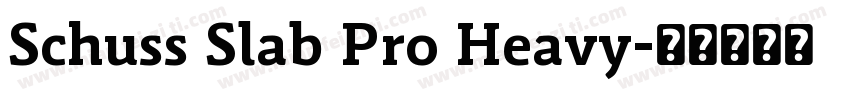 Schuss Slab Pro Heavy字体转换